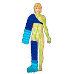 Відео: Lymph press Mini  Відео: Lymph press Mini