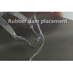 Відео: Раббердам Відео: Раббердам